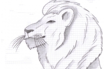 Lejon 10