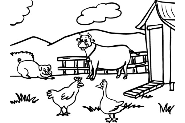 Farm 08