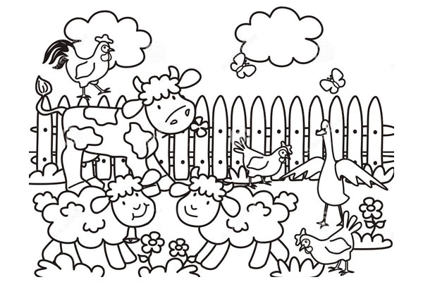 Farm11