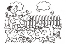Farm11