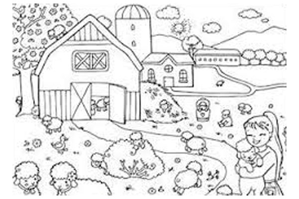 Farm 16