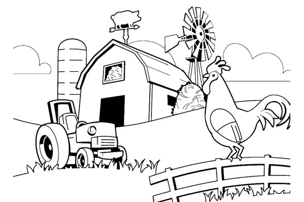 Farm 21