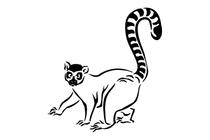Lemur