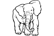 Elefant