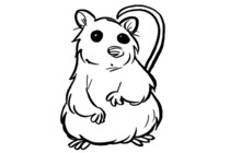 Hamster