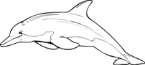 Delfin