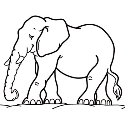 Elefant