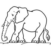 Elefant
