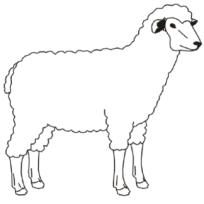 Får 2