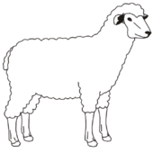Får 2