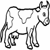 Ko