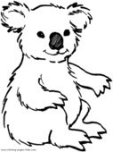 Koalabjörn