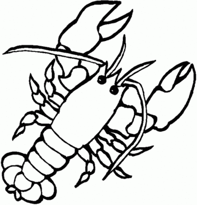 Kräfta