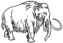 Mammut
