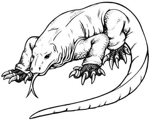 Varan