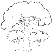 Natur03