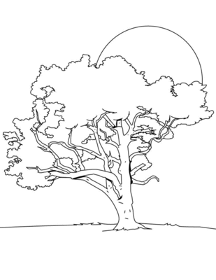 Natur04