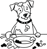 Hund